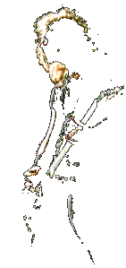 Jaymz